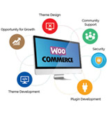 Wordpress WooCommerce theme development